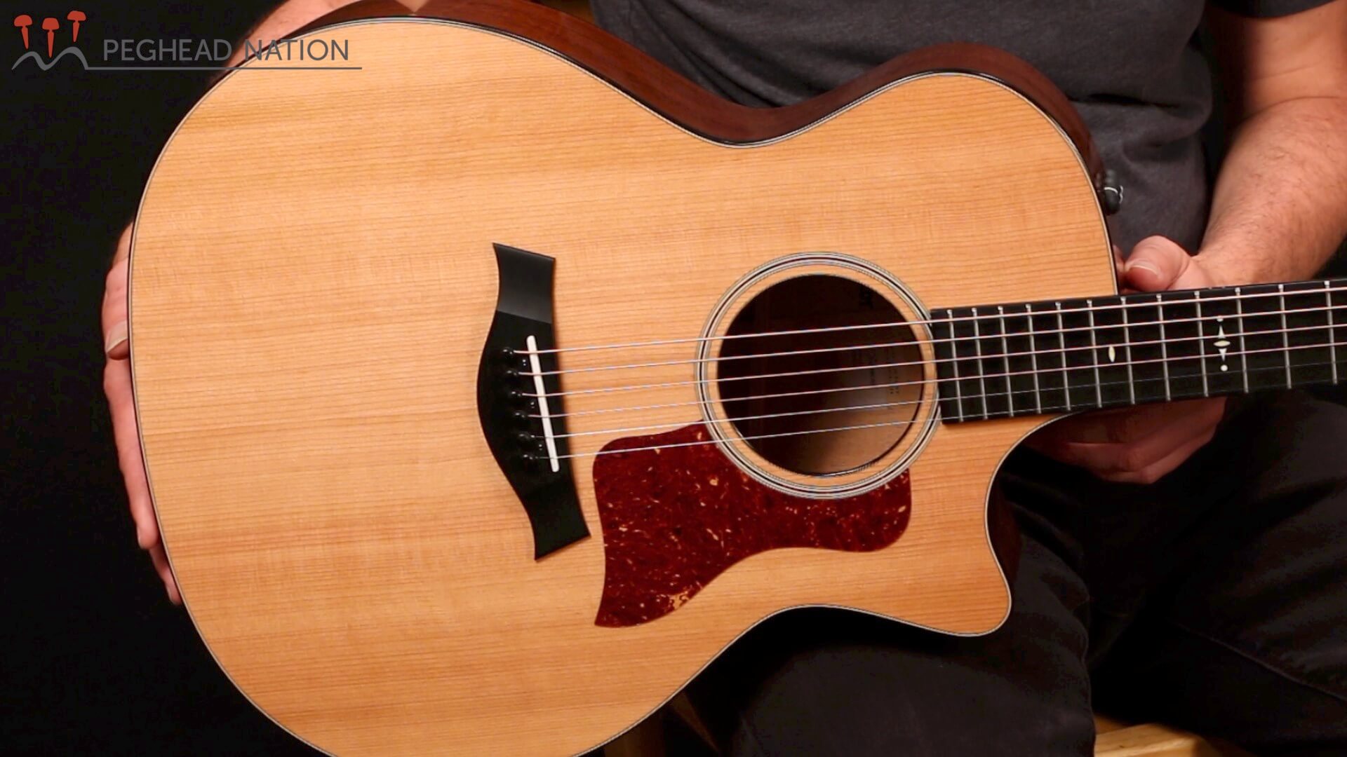 Taylor 514ce - Peghead Nation