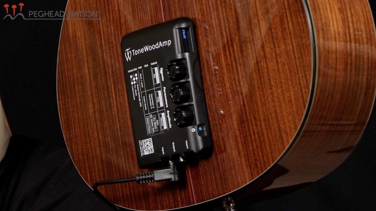 article: ToneWoodAmp