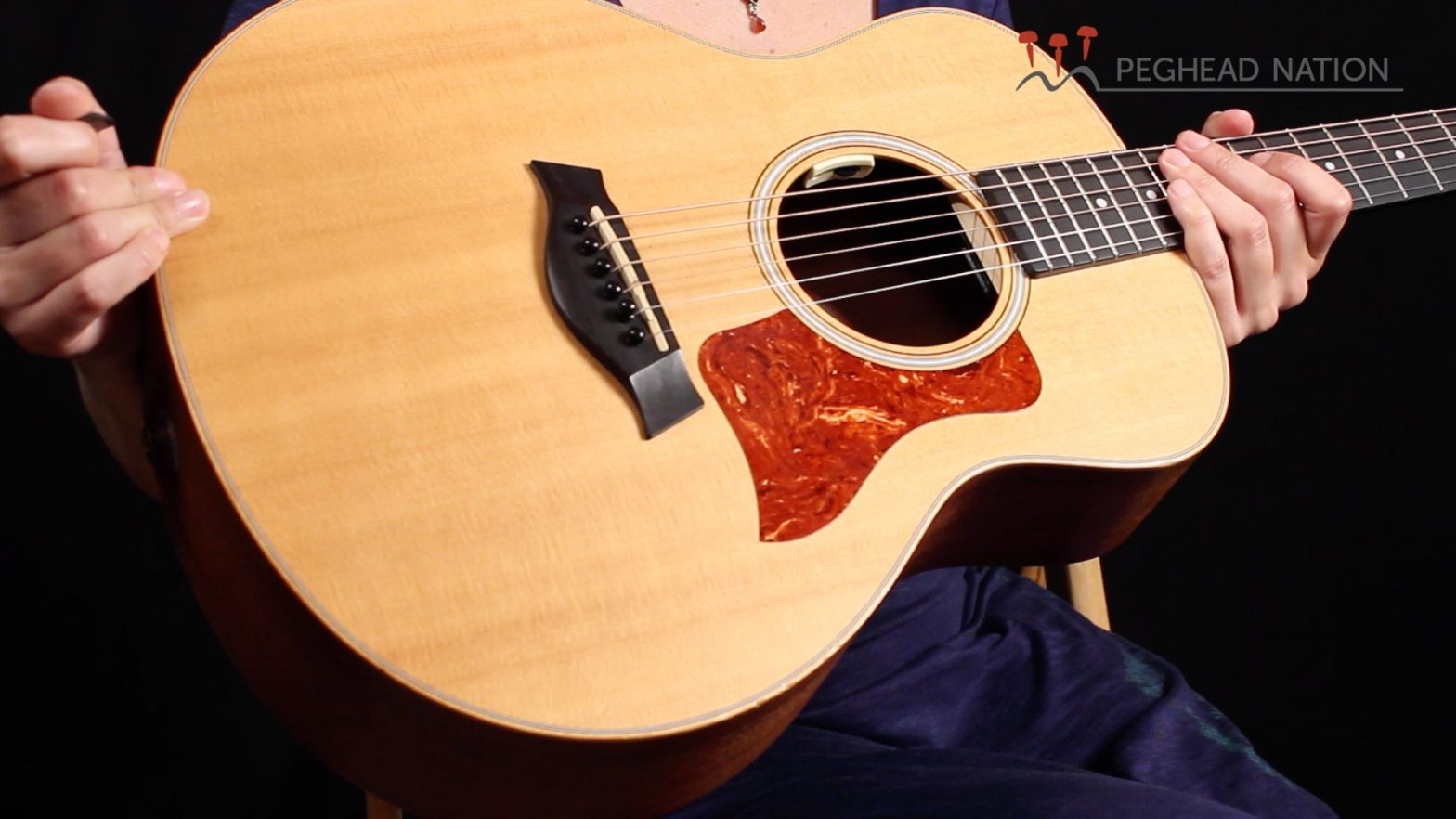 Taylor GS Mini