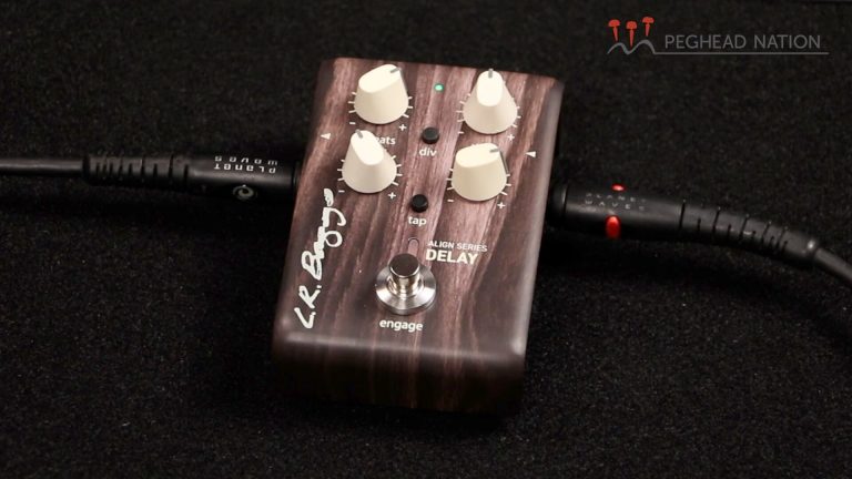 article: L.R. Baggs Align Series Delay