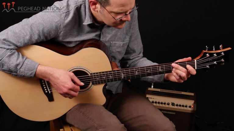 article: PRS SE A30E