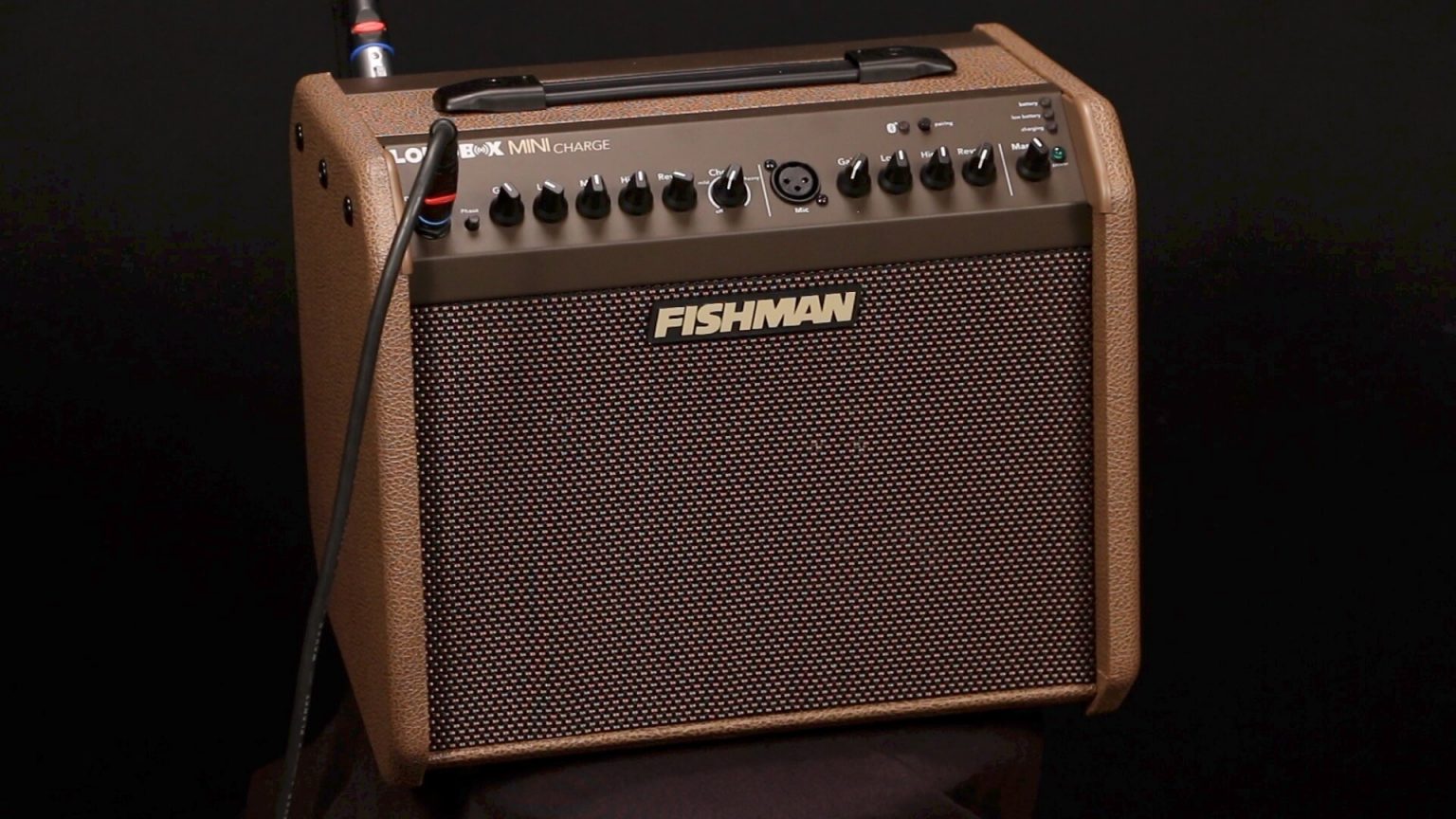 Fishman Rare Earth Mic Blend - Peghead Nation