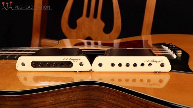article: L.R. Baggs M1 Active and M80