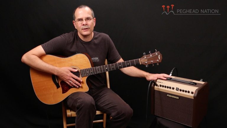 article: Fishman Loudbox Mini