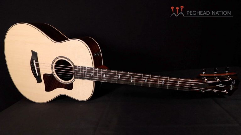 article: Taylor GT 811e