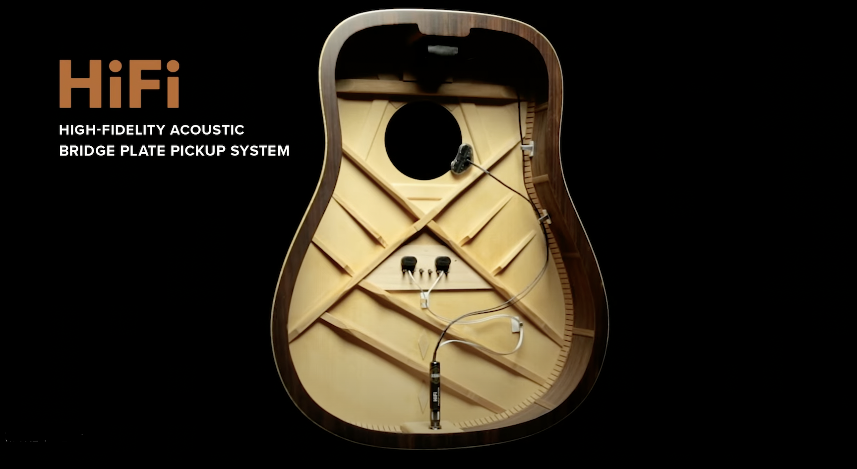 HiFi Pickup System L.R. Baggs Peghead Nation