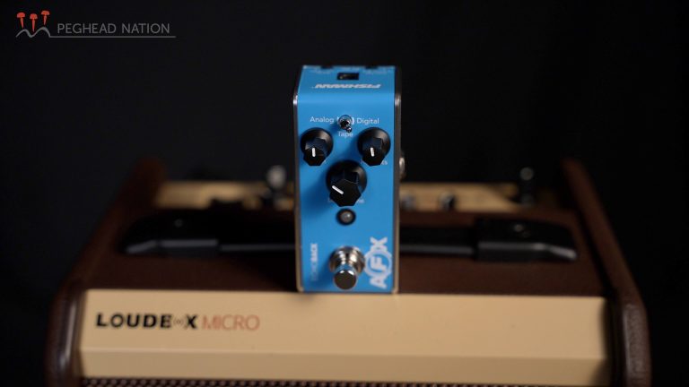 article: Fishman AFX Mini EchoBack