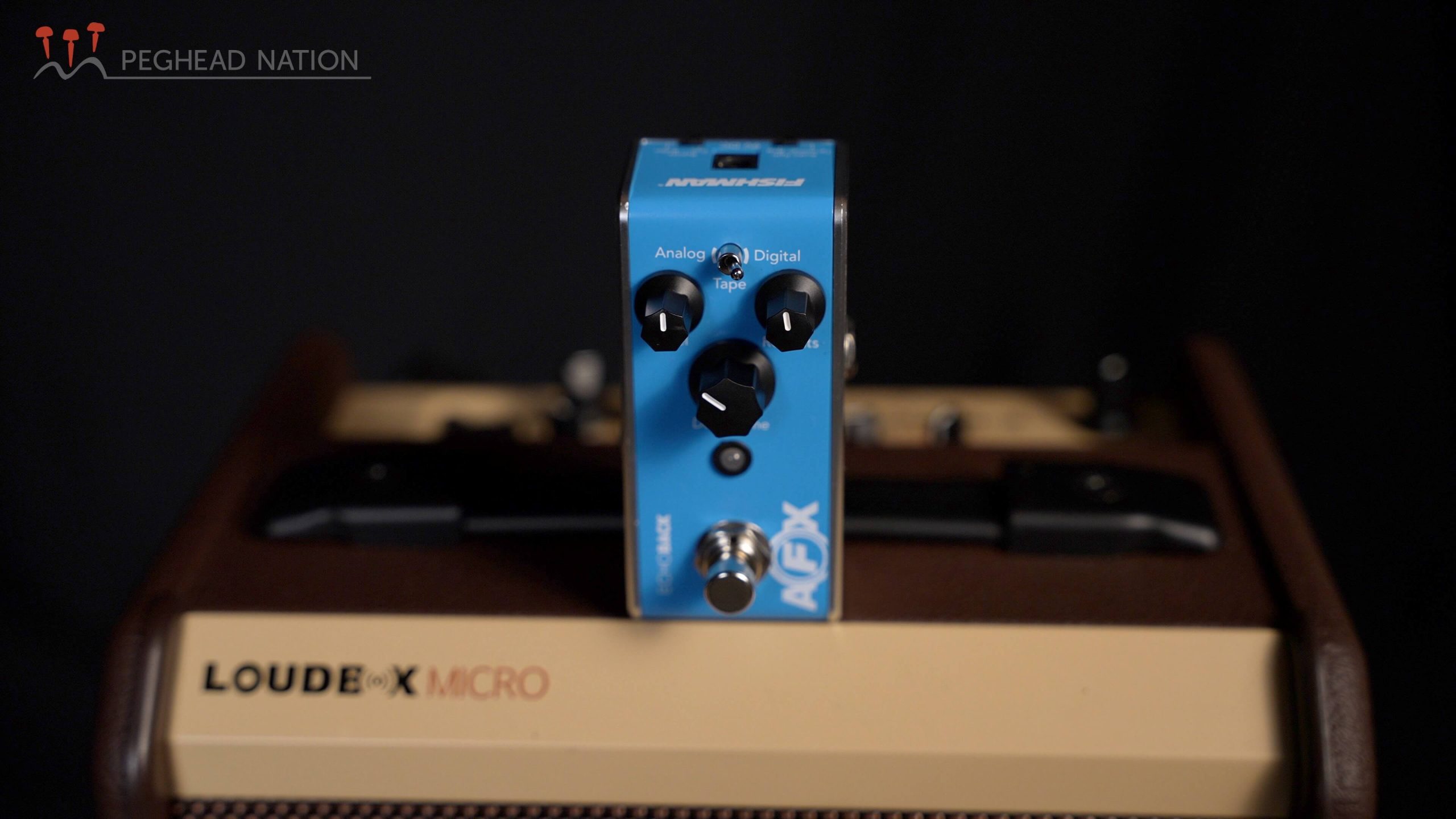Fishman AFX Acoustic Delay - Pedal of the Day