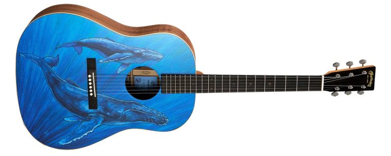 article: DSS Biosphere II | Martin Guitar