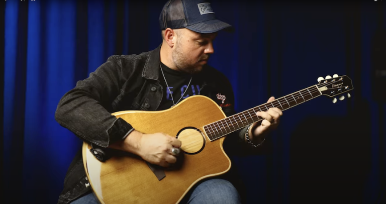 article: AEG-1 Acoustic-Electric Guitar | L.R. Baggs