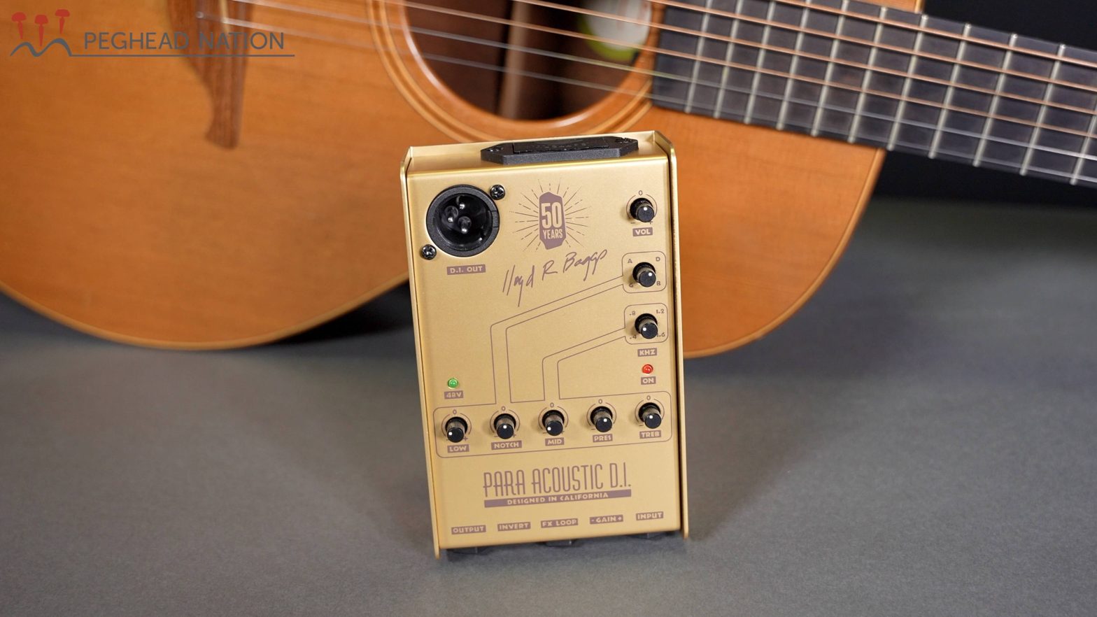 L.R. Baggs Para DI Limited Gold Edition