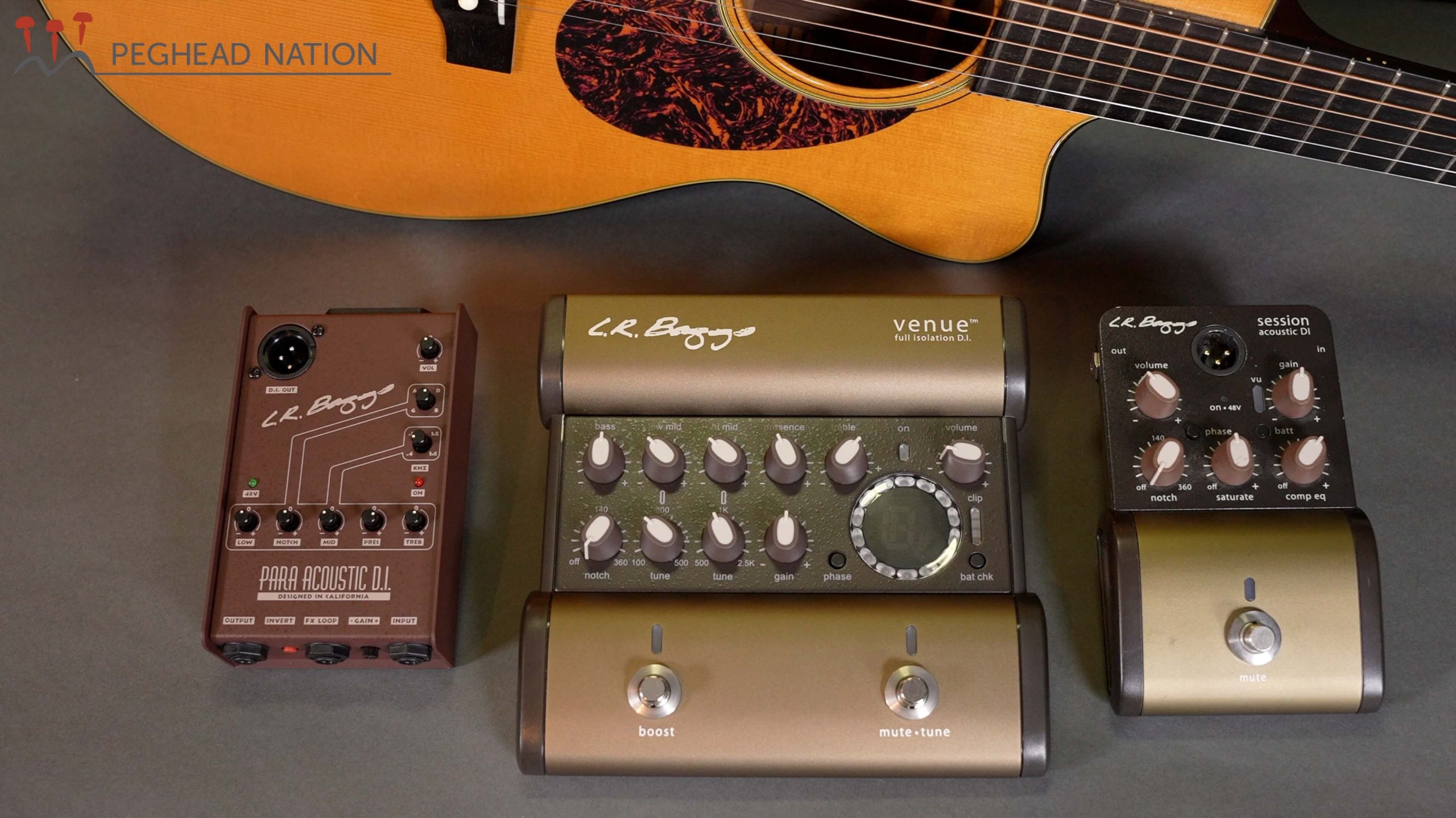L.R. Baggs Para DI, Venue DI, and Session DI - Peghead Nation
